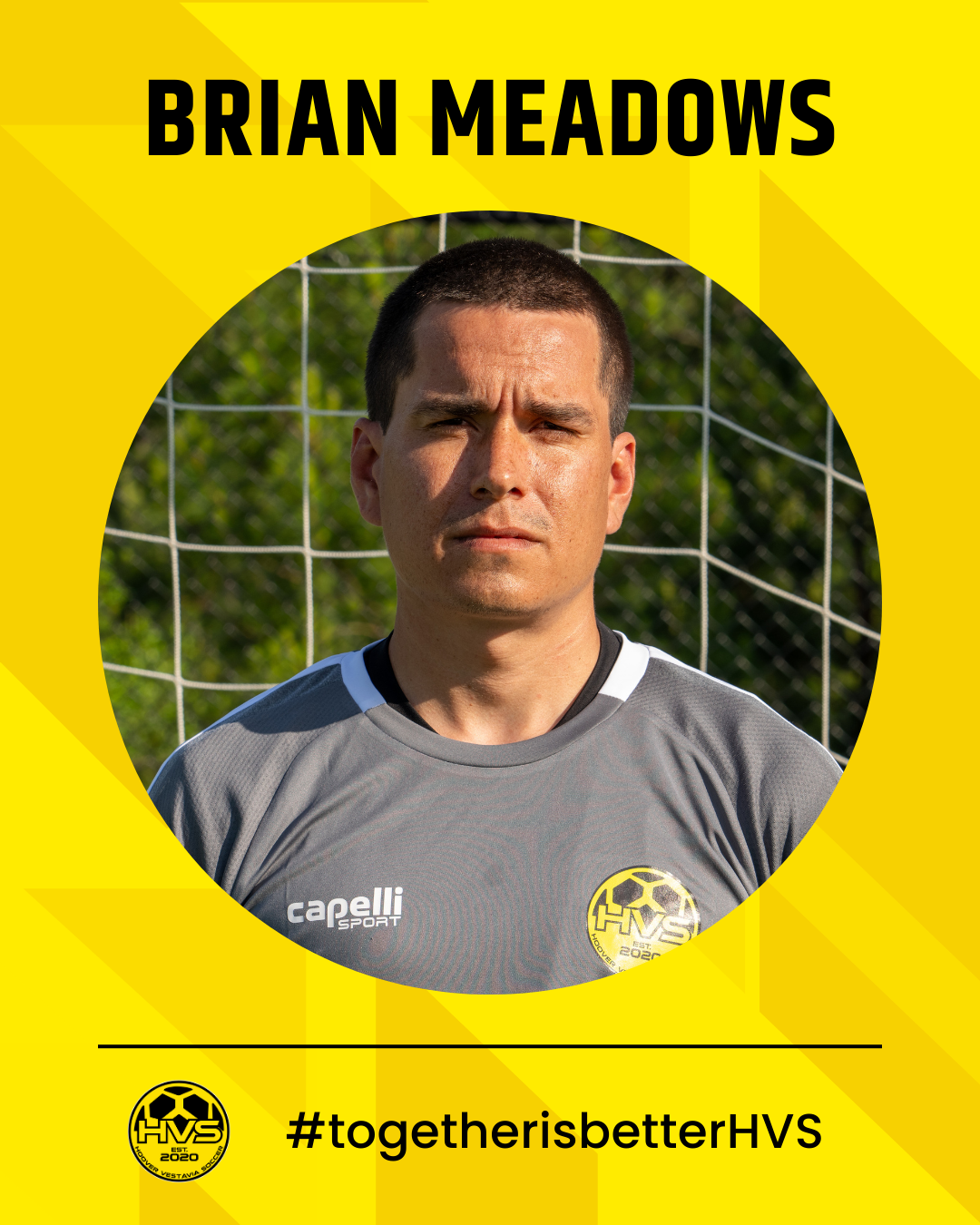 HVS - BRIAN MEADOWS