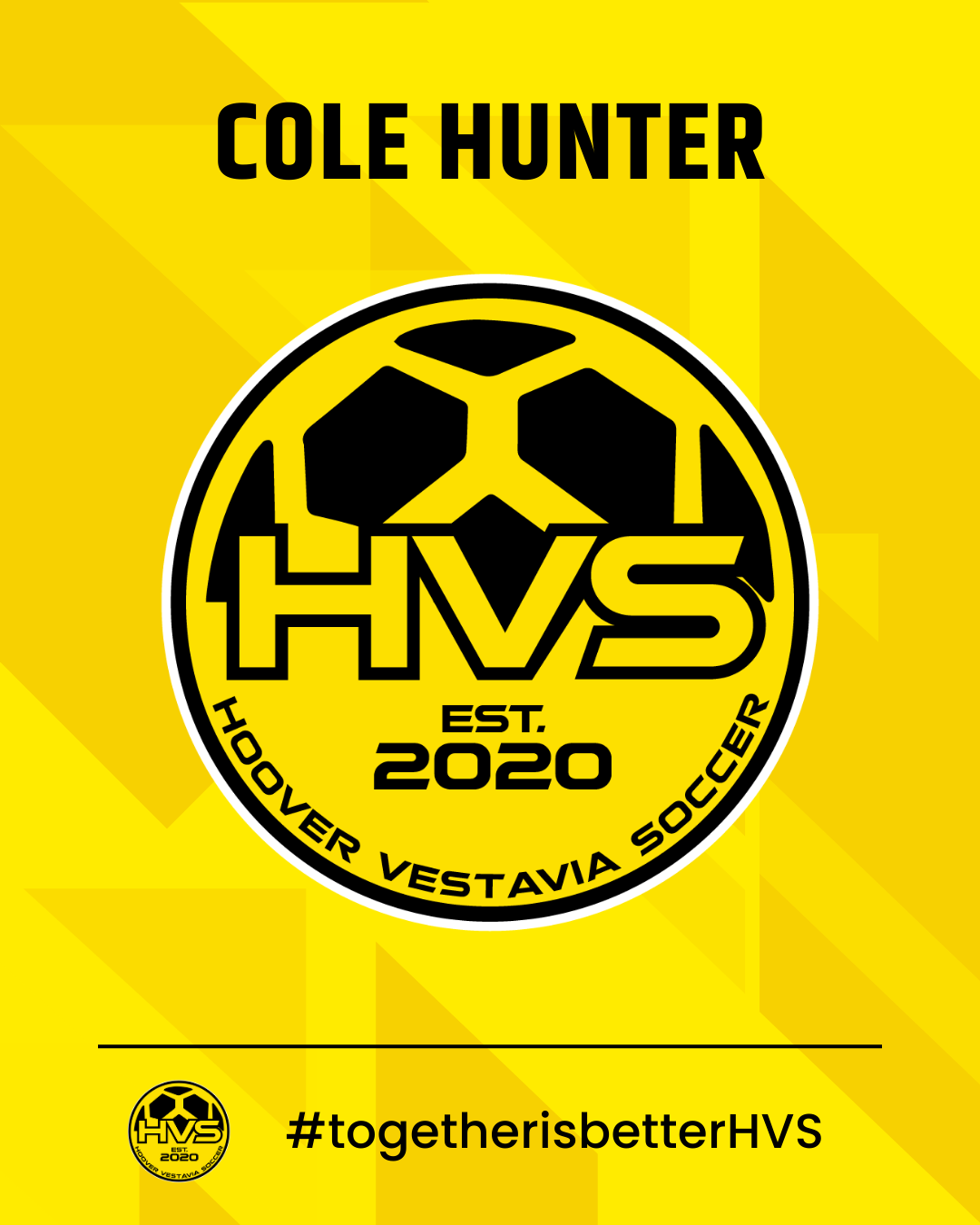 HVS - COLE HUNTER