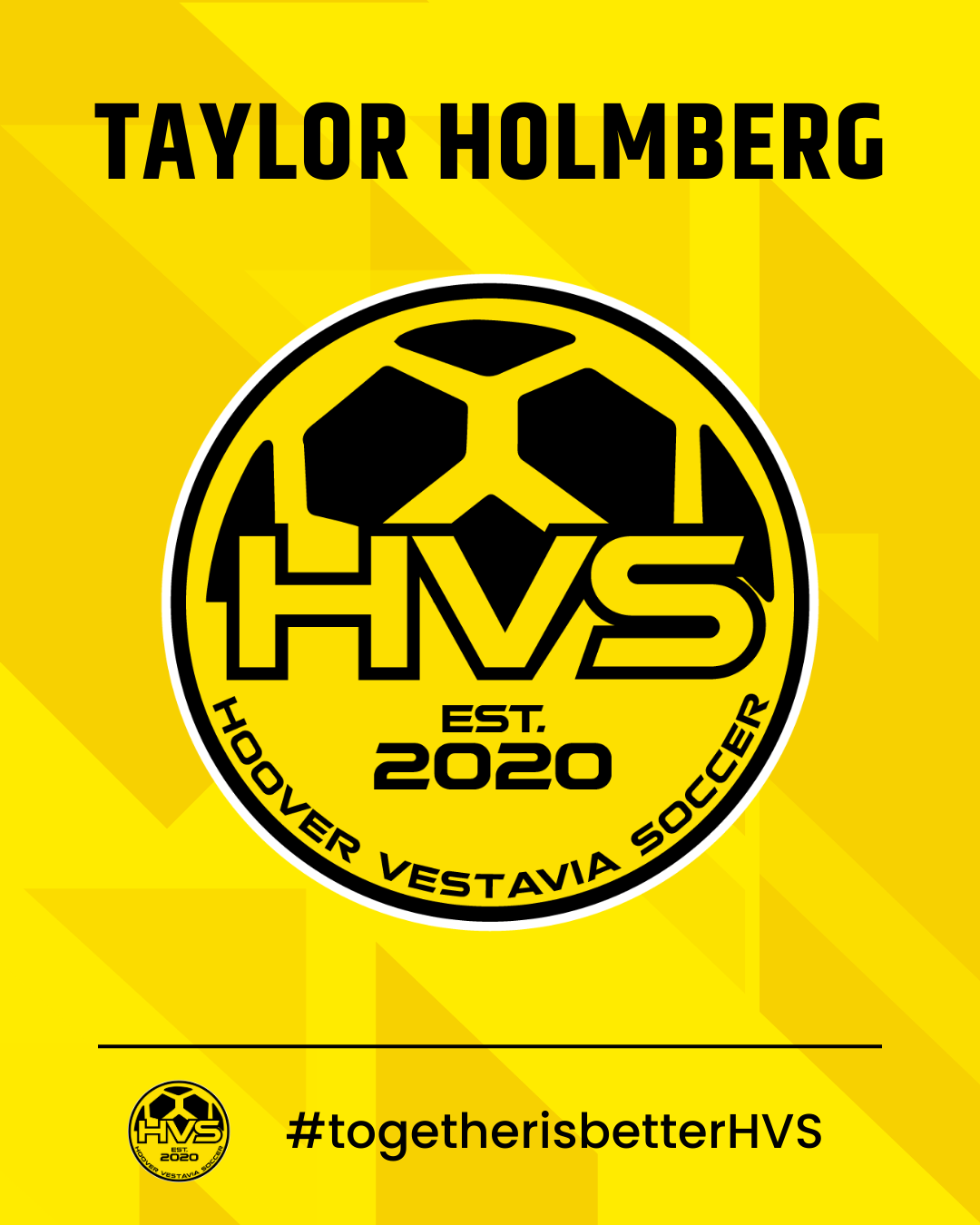 HVS - TAYLOR HOLMBERG